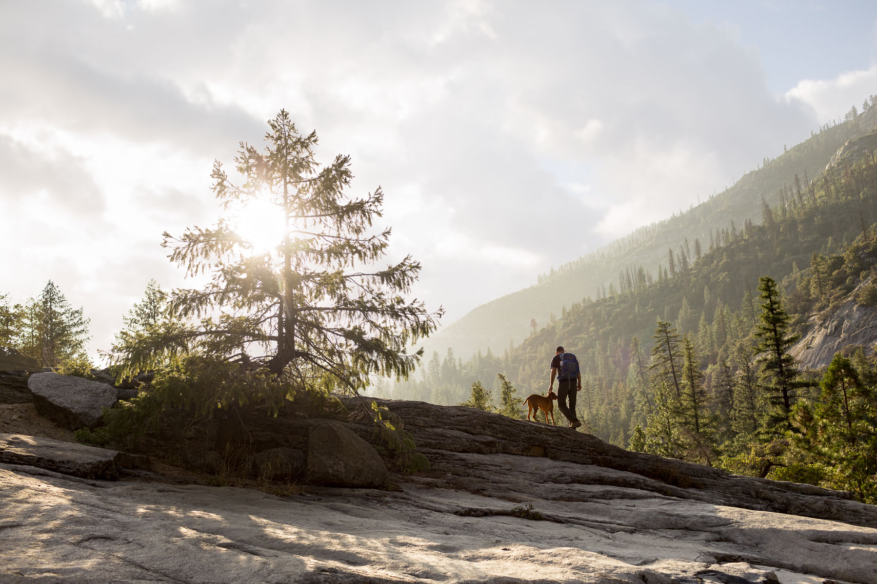 Hiker with Dog