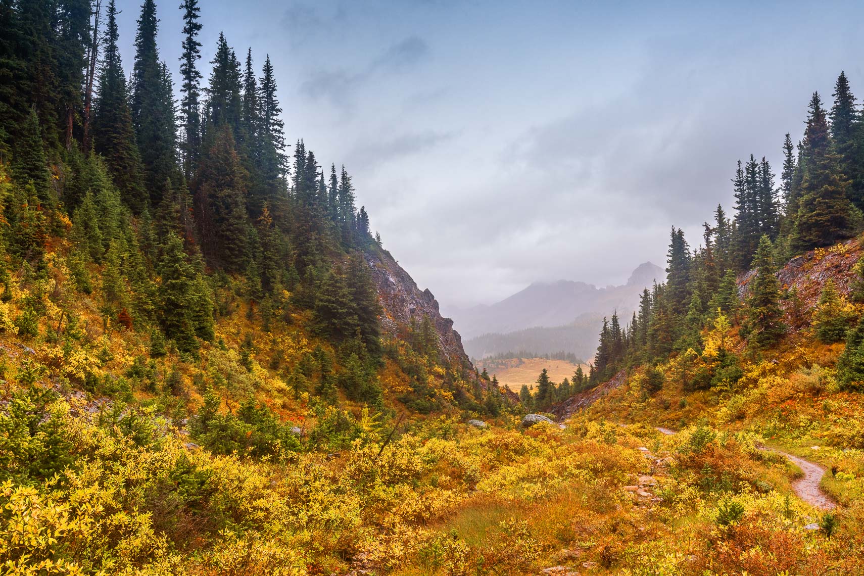 Og Meadow Hike