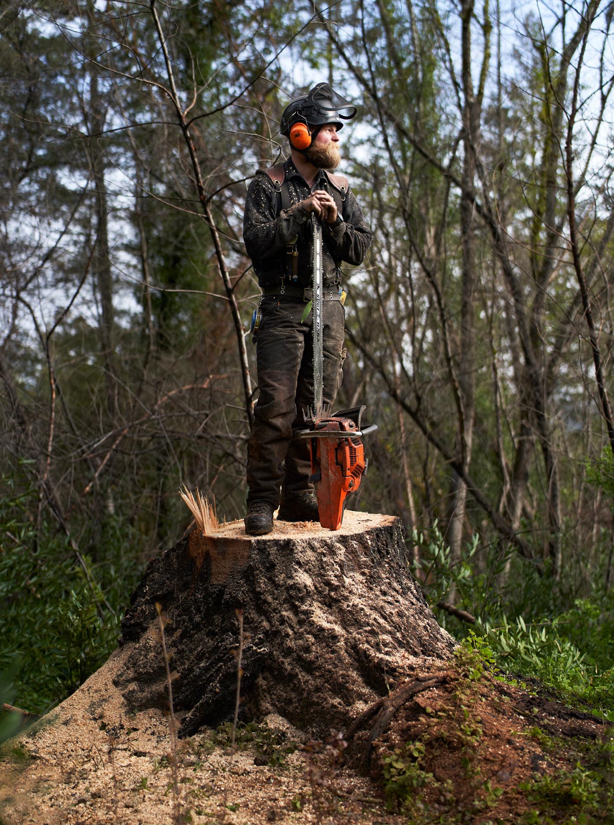 steve--work-Tree_Faller_Travis_Napa_1088-portrait-chainsaw-crop4