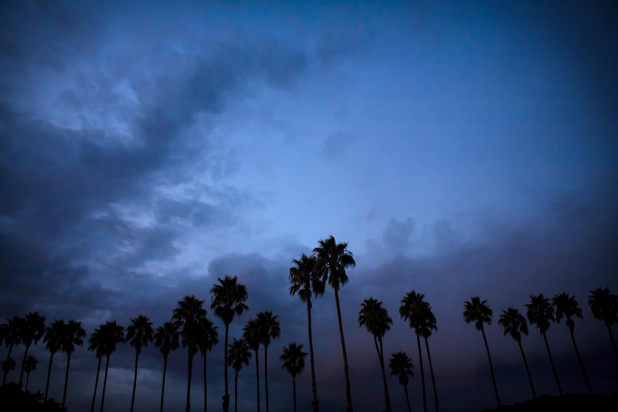 steve-lifestyle-blue-dark-sb-palms