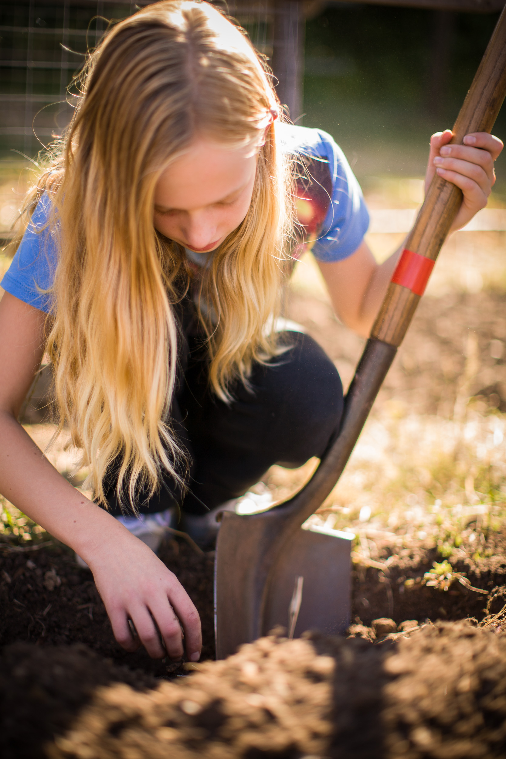 sundberg_agriculture-39